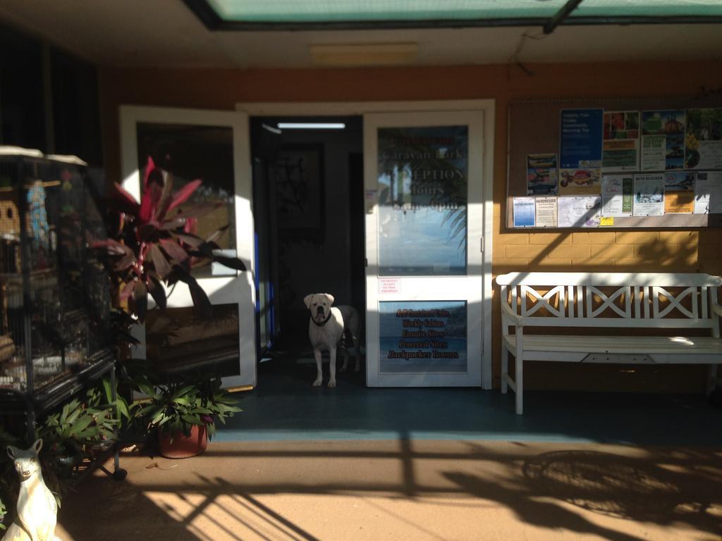 Carnarvon Caravan Park Экстерьер фото